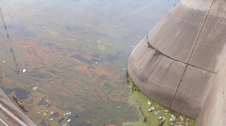 San Luis Agua desarrolló trabajos de mantenimiento en el dique Vulpiani