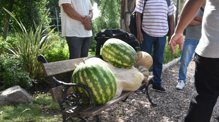 Productores del corredor Quines-Candelaria se suman a la venta directa