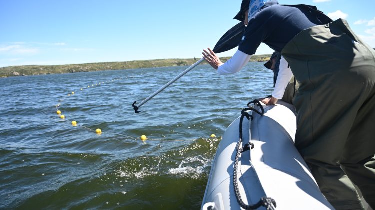 San Luis Agua realizó el primer estudio biológico-pesquero en el dique Boca de Río