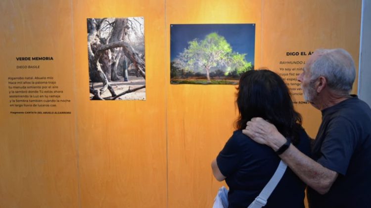 Continúa abierta la exposición fotográfica ‘La luz que llevo’