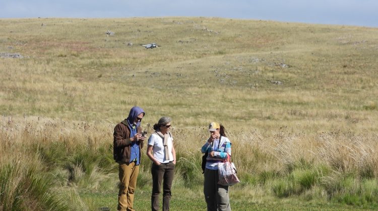 Expertos realizan una investigación científica con vizcachas en Piedra del Agua