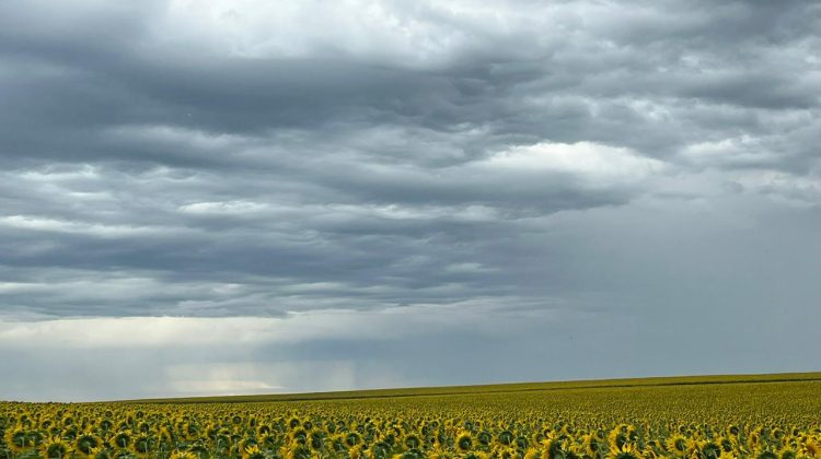 Un domingo nublado, ideal para recorrer las bellezas naturales de San Luis