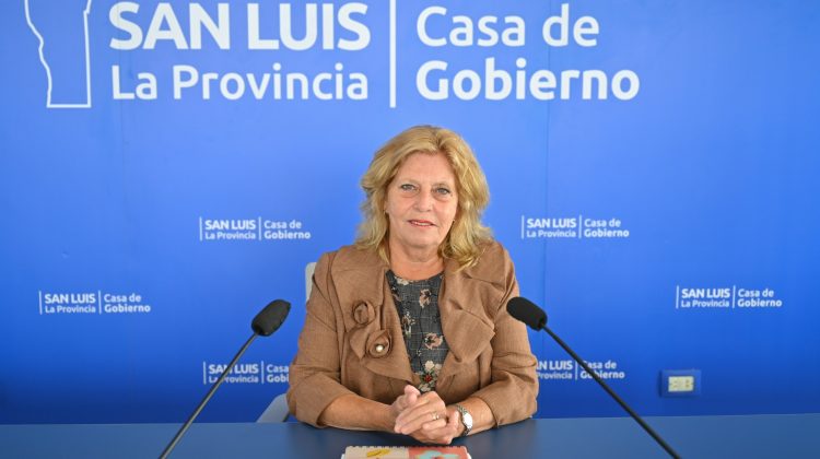 Anunciaron importantes descuentos en el pago contado de los impuestos Automotor e Inmobiliario 