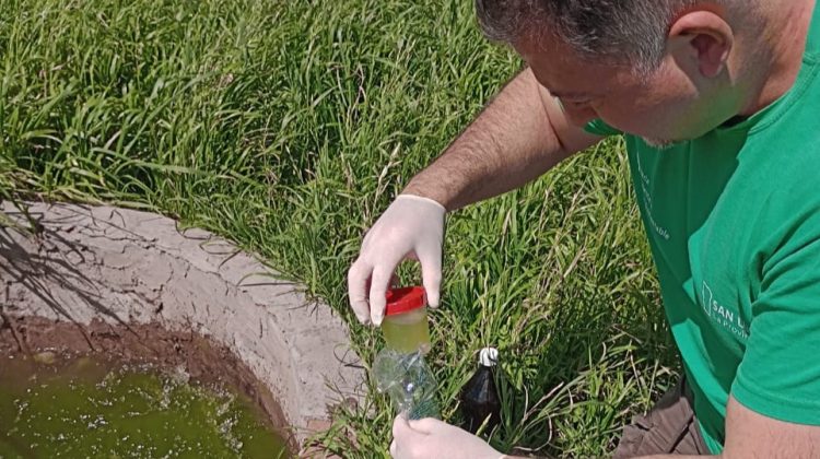 Continúa la fiscalización industrial y forestal en toda la Provincia