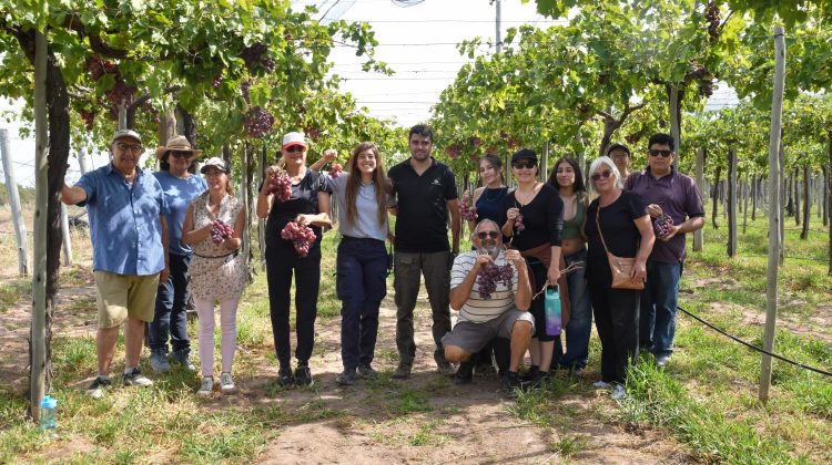 Culminó la Vendimia Sanluiseña 2026 dedicada al público general y el sector vitivinícola