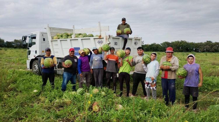De Candelaria al Mercado Central: 38 toneladas que nacieron de un video dominical