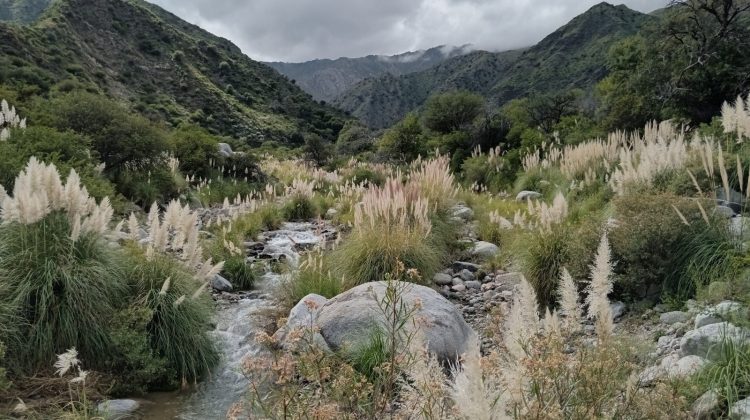 Inspeccionaron la reserva natural ‘Huascara’ en Villa de La Quebrada