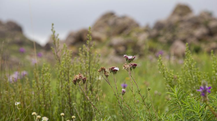 La mitad de semana llega con poco cambio de las temperaturas y posibles lluvias