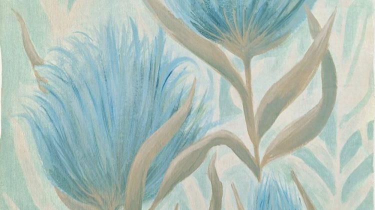 Este domingo se inaugura la exposición ‘Invernadero’ en La Carolina   