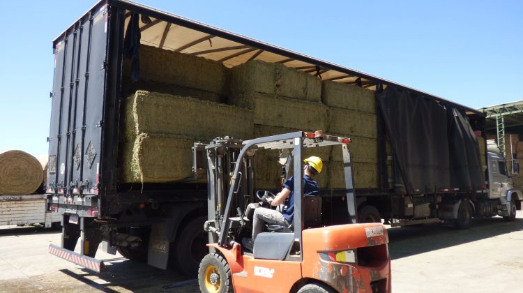 Desde Agrozal salieron cerca de 100 toneladas de alfalfa con destino a Brasil