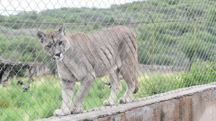 Ambiente anunció los horarios de marzo a junio de las áreas naturales protegidas