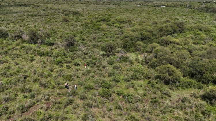 Comenzaron las inspecciones técnicas del programa Pagos por Servicios Ambientales