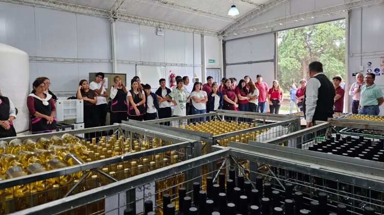 Jóvenes premiados del programa ‘IDEA’ recorrieron Sol Puntano y conocieron sus procesos productivos