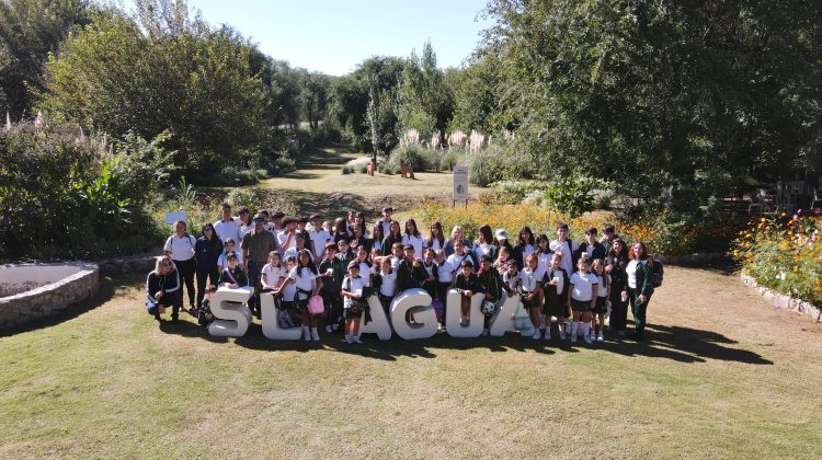 Alumnos del colegio Causay conocieron el ciclo de vida de los árboles nativos