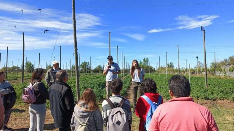 Dictarán capacitaciones en la Mesa Sectorial frutihortícola y de producción familiar
