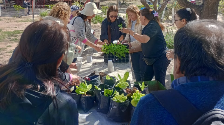 Comienza ‘Activa tu Huerta’ con capacitaciones y entrega de semillas