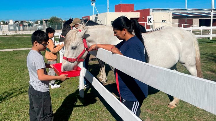 Los centros provinciales de Equinoterapia dieron inicio formal a su ciclo 2026