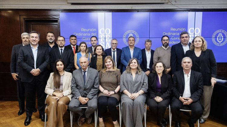 El Gobierno de San Luis participó de una nueva reunión del Consejo Federal de Salud