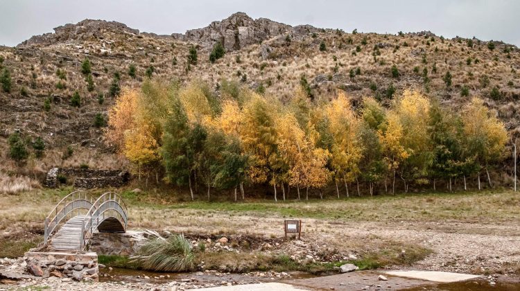La semana comienza con heladas generalizadas y una fría sensación térmica