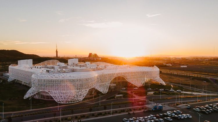 El Sistema Público de Salud recibirá un premio internacional por el tratamiento del ACV isquémico