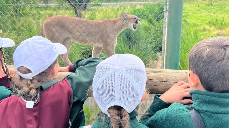 La Reserva Florofaunística, un refugio para la fauna y un lugar clave para la educación ambiental
