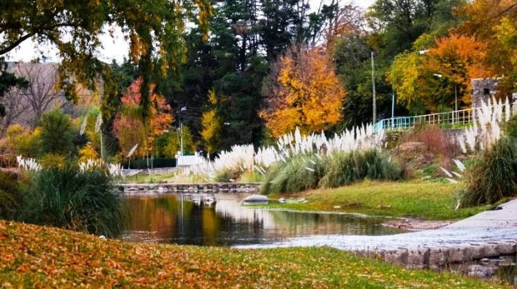 Otoño en San Luis: un espectáculo de colores que invita a descubrir paisajes soñados