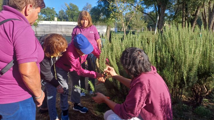 Se publicó el calendario de capacitaciones de ‘Activá tu Huerta’ en toda la provincia