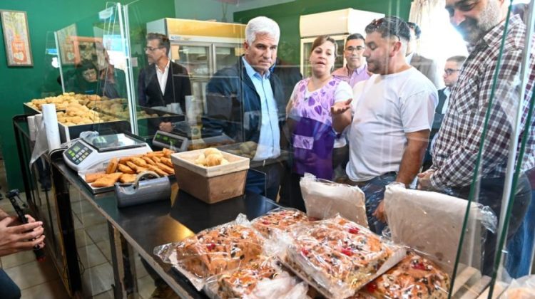 En el Día Mundial del Emprendimiento, San Luis reafirma su compromiso con este sector pujante