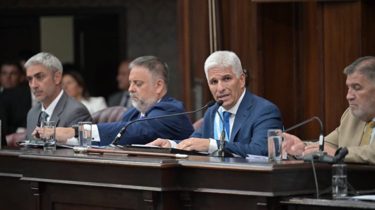 “La verdadera inclusión social es la educación y el acceso al conocimiento”