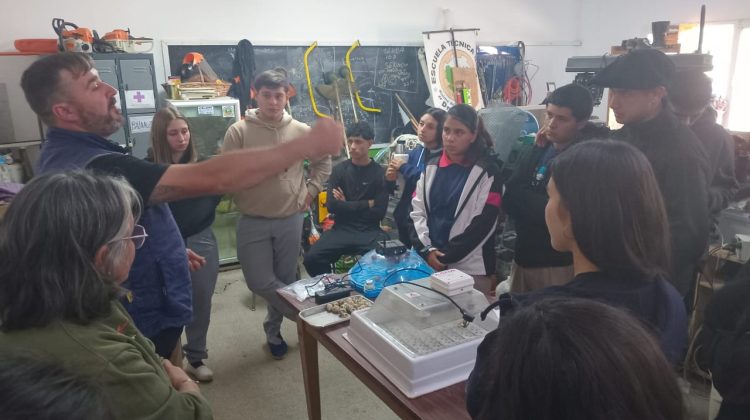 Los ganadores de IDEA 2025 pusieron en marcha su proyecto productivo ‘Huevito de Oro’