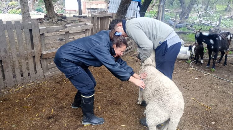 Refuerzan la asistencia sanitaria a productores rurales en distintos puntos de la provincia