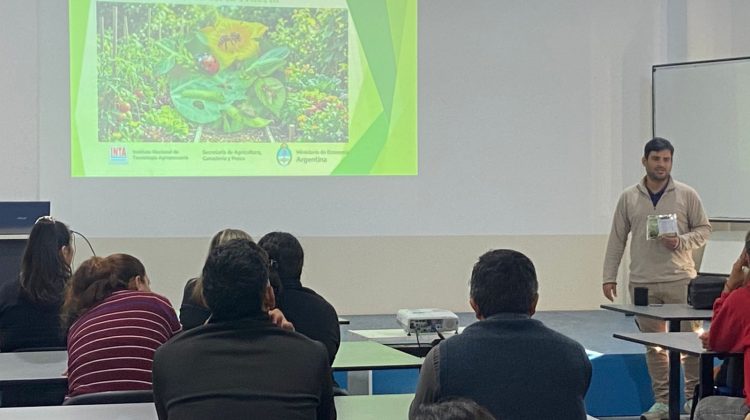 ‘Activá tu Huerta’: ya está disponible el cronograma semanal de capacitaciones y entrega de semillas