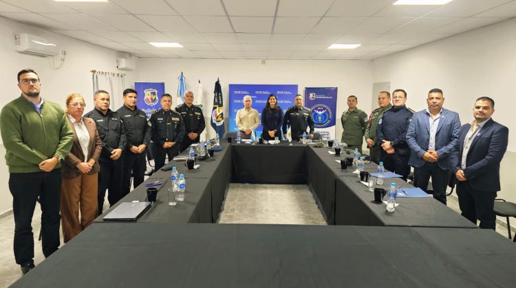 Comando Unificado San Luis: balance positivo en su primera etapa