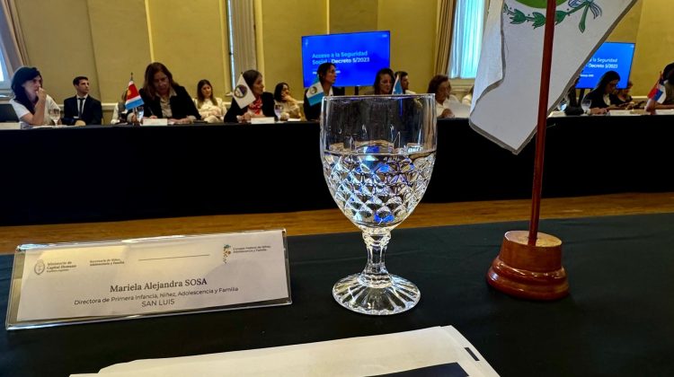 San Luis participó de una nueva sesión del Consejo Federal de Niñez, Adolescencia y Familia