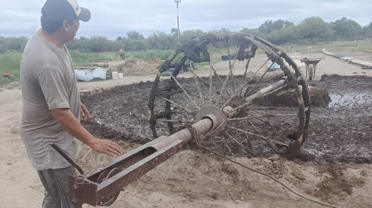 Mentores acompañan el crecimiento de proyectos productivos en toda la provincia