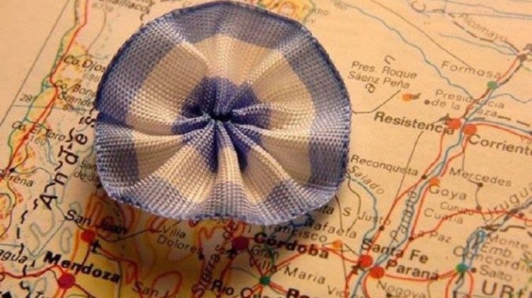Escarapela argentina: símbolo de identidad y orgullo nacional con profundo legado puntano