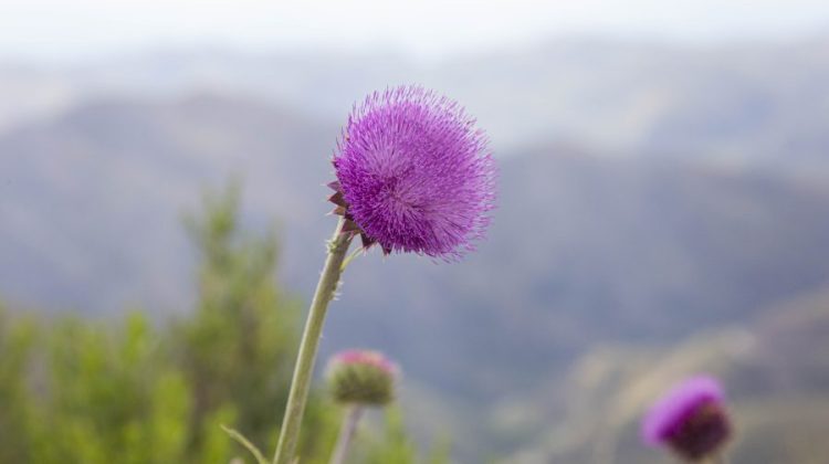 Mañana fresca y una tarde cálida y soleada, el pronóstico para este martes