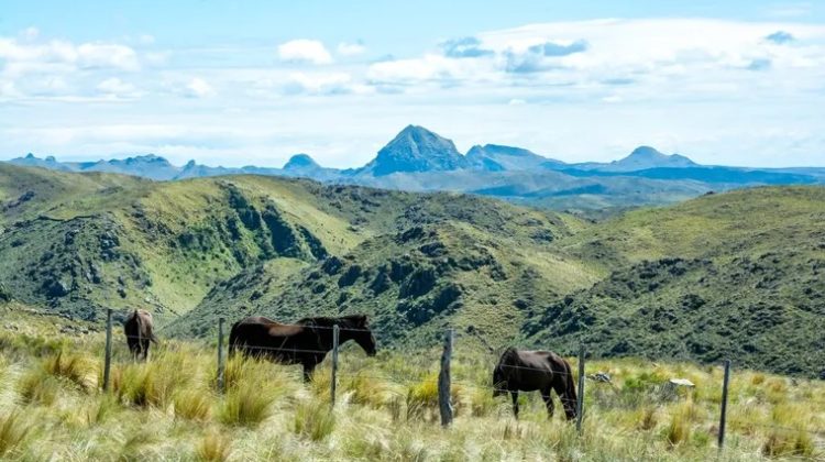 Paisajes de ensueño y destinos para descubrir este fin de semana largo