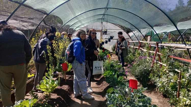 ‘Activá tu Huerta’: continúa el cronograma de capacitaciones y la entrega de semillas