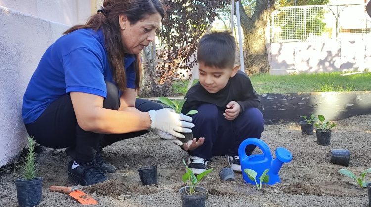 ‘Sembrando Vida’ llegó a la escuela ‘Sargento Baigorria’