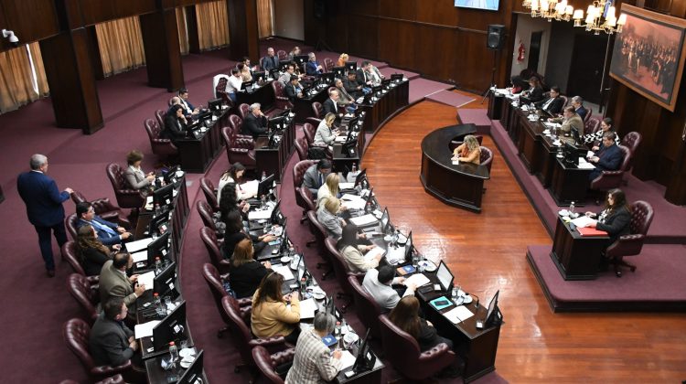Tiene media sanción el Programa de Fortalecimiento de la Lectura, Escritura y Comprensión Lectora