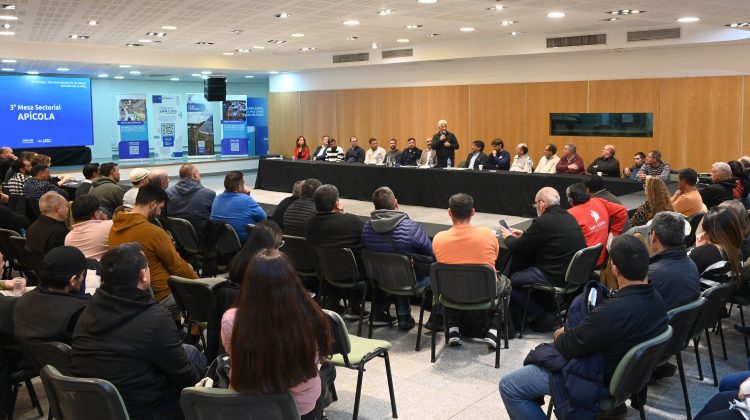 “La apicultura y el apoyo a esta actividad han vuelto a San Luis para quedarse”
