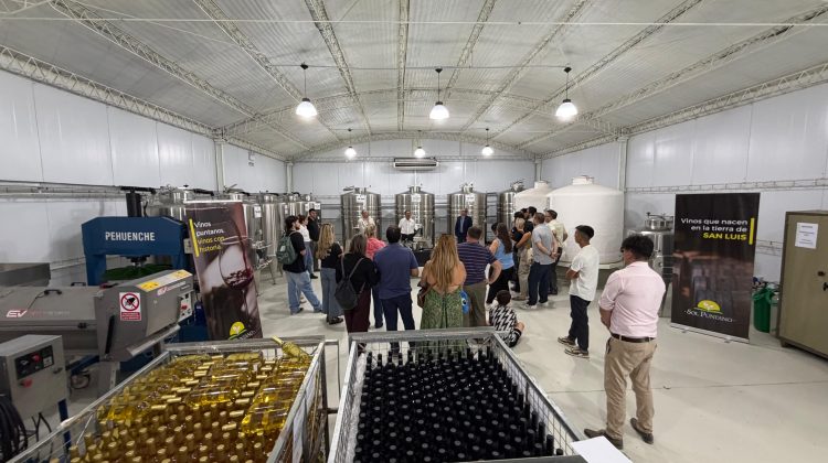 Sol Puntano y Gin Eternal impulsan dos vermouth premium elaborados con vino sanluiseño