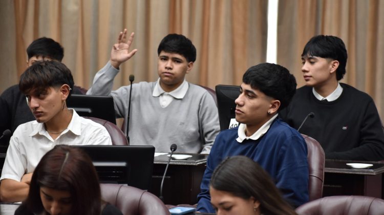 Estudiantes de Luján fueron ‘Diputados por un Día’