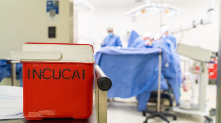 El Sistema Público de Salud realizó tres nuevos trasplantes en el Hospital ‘Carrillo’