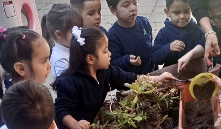 La ENI Nº2 participó de la instancia regional con un proyecto ecológico