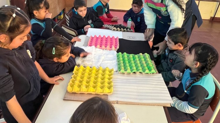 El ruido del recreo inspiró un proyecto de nivel Inicial