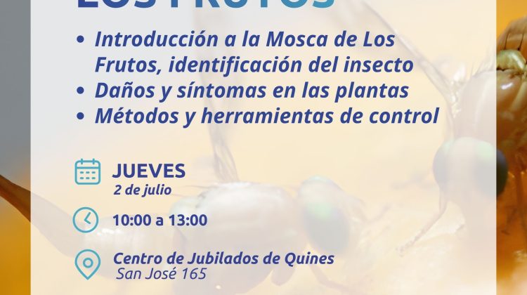 Brindarán una capacitación sobre la mosca de los frutos en Quines