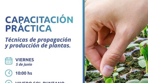 Nota