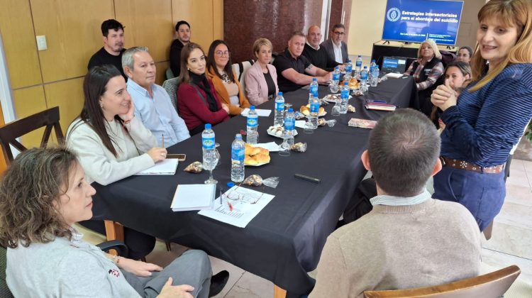 Desarrollaron una agenda de trabajo sobre prevención del suicidio